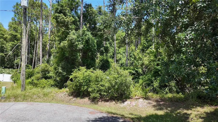 8 Zaftig Court, Palm Coast, FL 32164 - #2