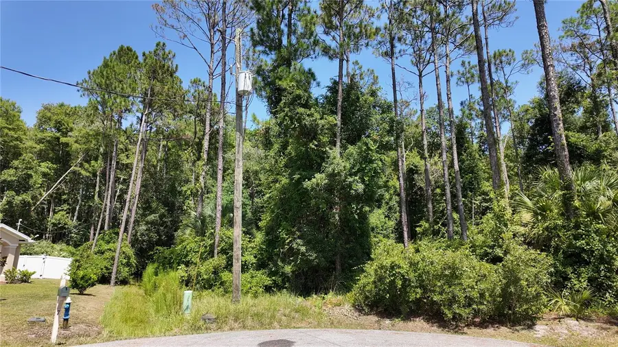 8 Zaftig Court, Palm Coast, FL 32164 - #3