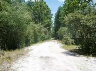 148 Arden Street, GEORGETOWN, FL 32139