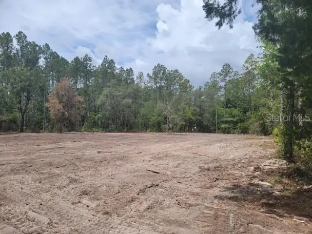 4325 Cedar Ford Boulevard, Hastings, FL 32145 - #2