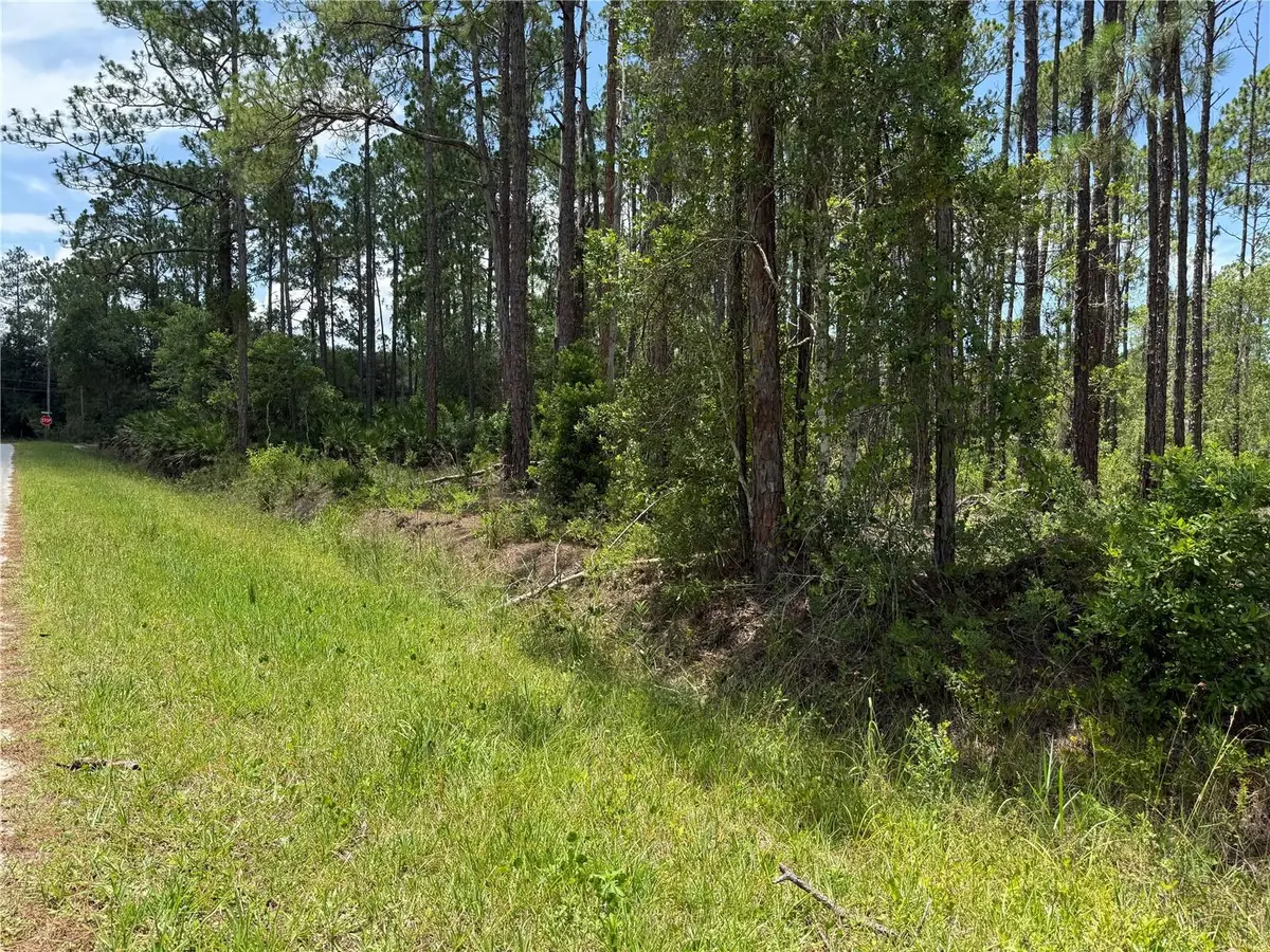 2914 Avocado Boulevard, Bunnell, FL 32110 - #1