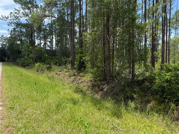2914 Avocado Boulevard, BUNNELL, FL 32110