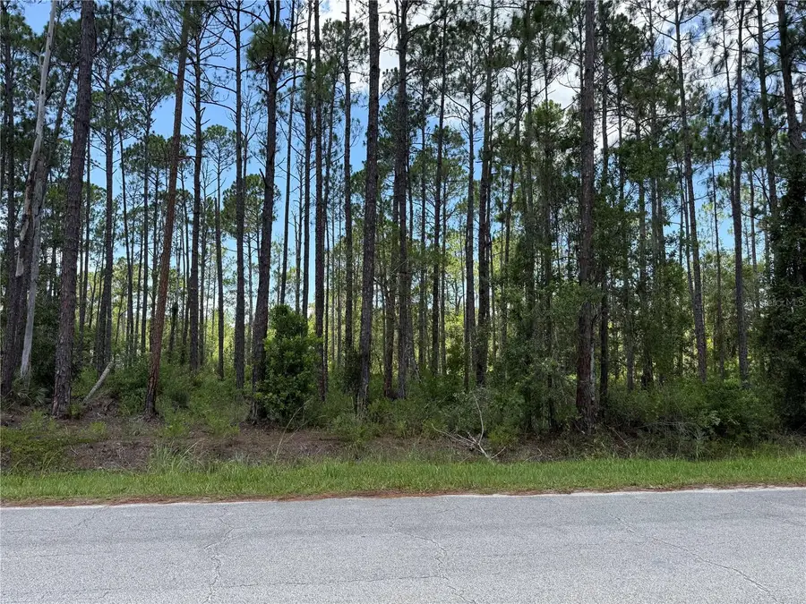2914 Avocado Boulevard, Bunnell, FL 32110 - #3