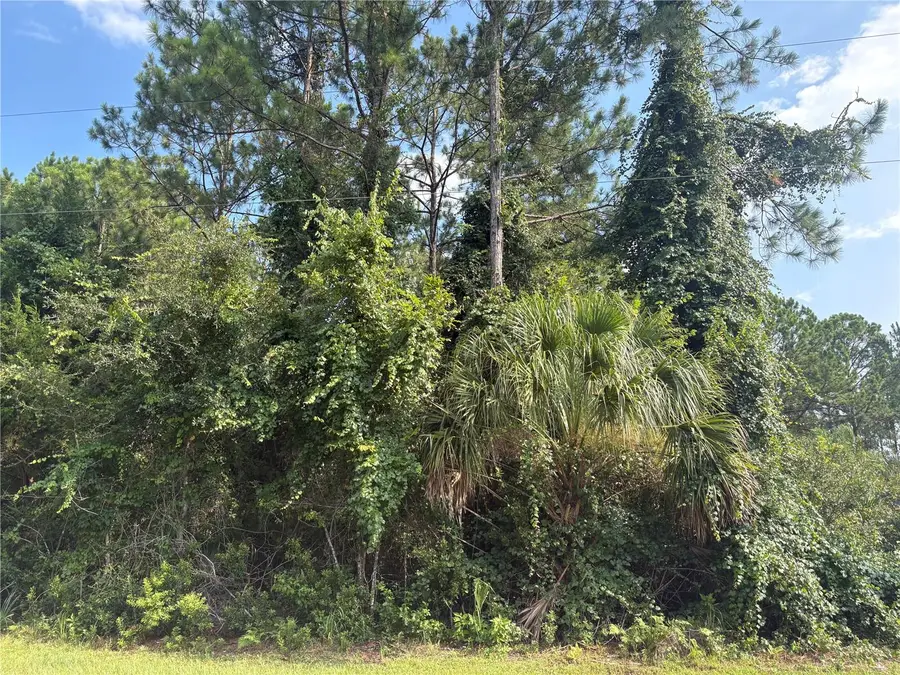 17 Uhlerwood Court, Palm Coast, FL 32164 - #2