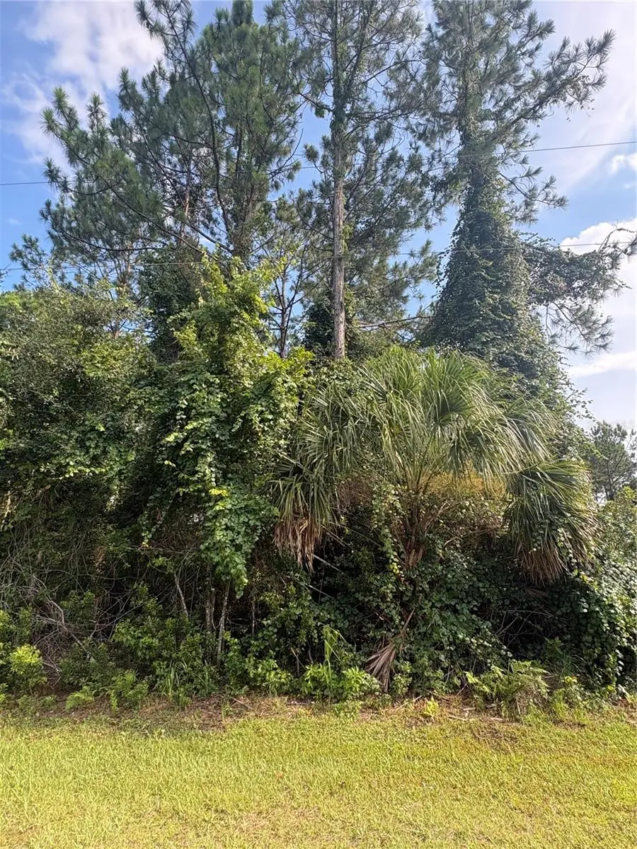 17 Uhlerwood Court, Palm Coast, FL 32164 - #3
