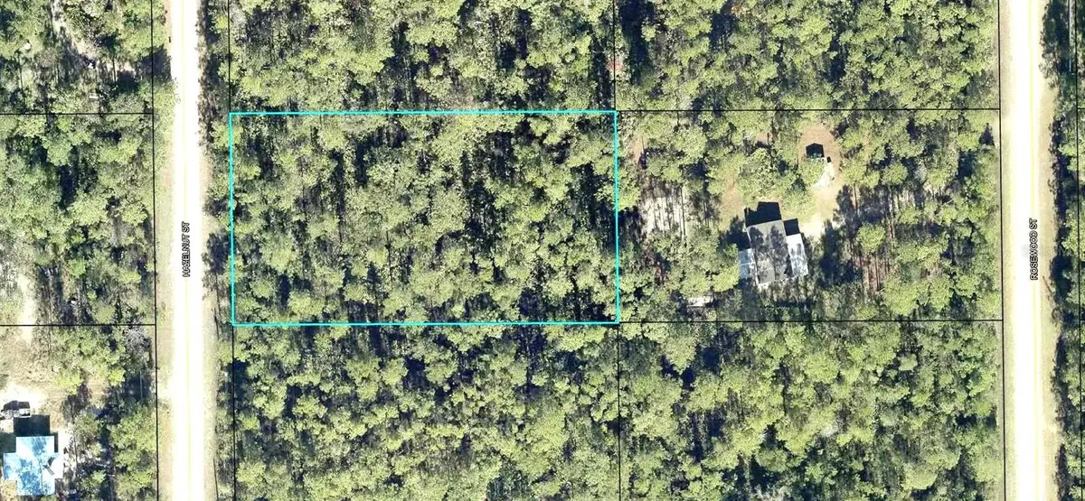 2185 Hazelnut Street, Bunnell, FL 32110 - #1