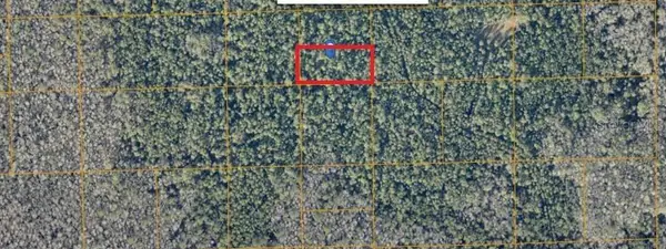 Unimproved, DE LEON SPRINGS, FL 32130