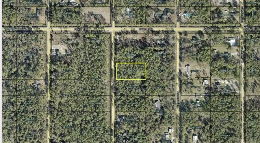 10620 Delgado Avenue, Hastings, FL 32145 - #2