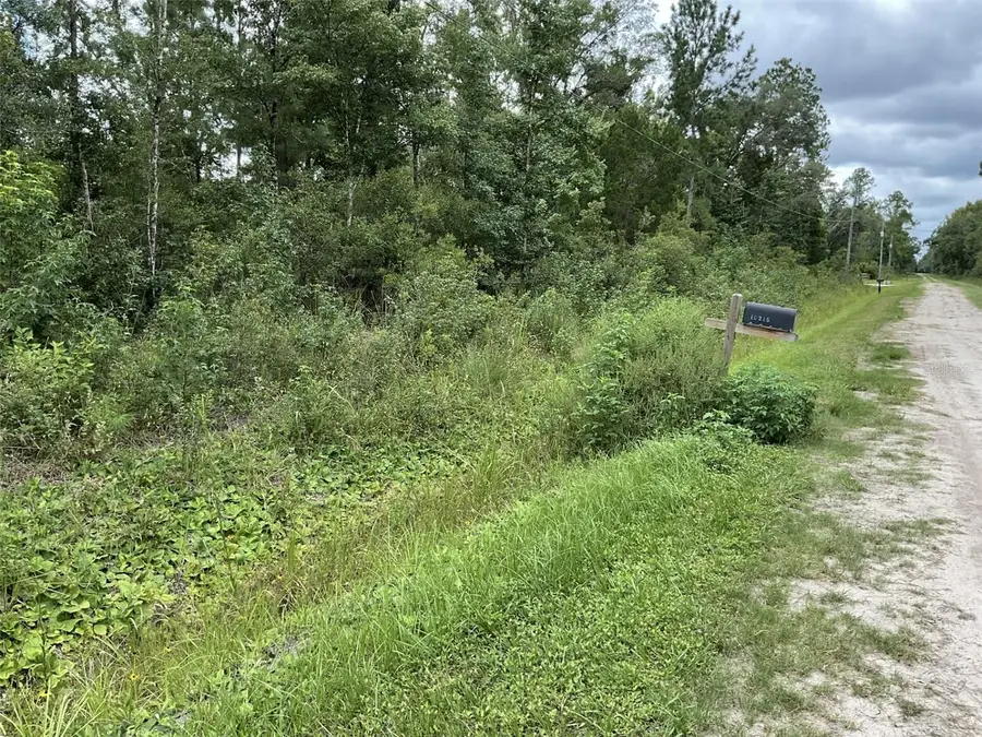 10210 Vaughan Avenue, Hastings, FL 32145 - #3