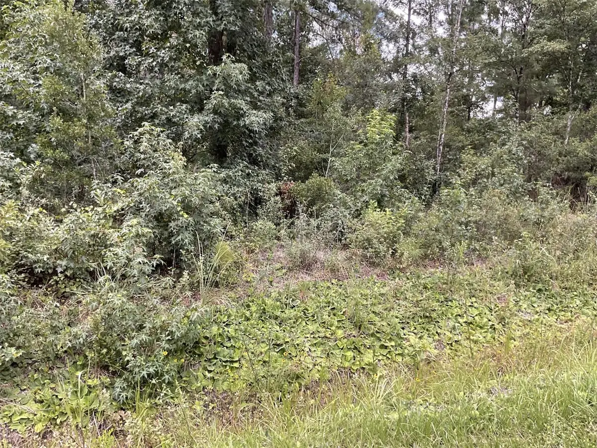 4940 Kenneth Street, Hastings, FL 32145 - #1