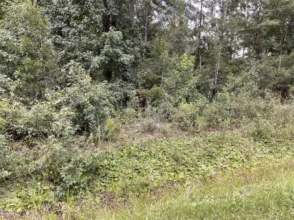 4940 Kenneth Street, HASTINGS, FL 32145