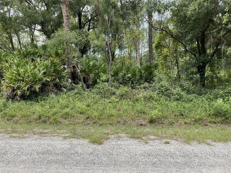 4940 Kenneth Street, Hastings, FL 32145 - #2