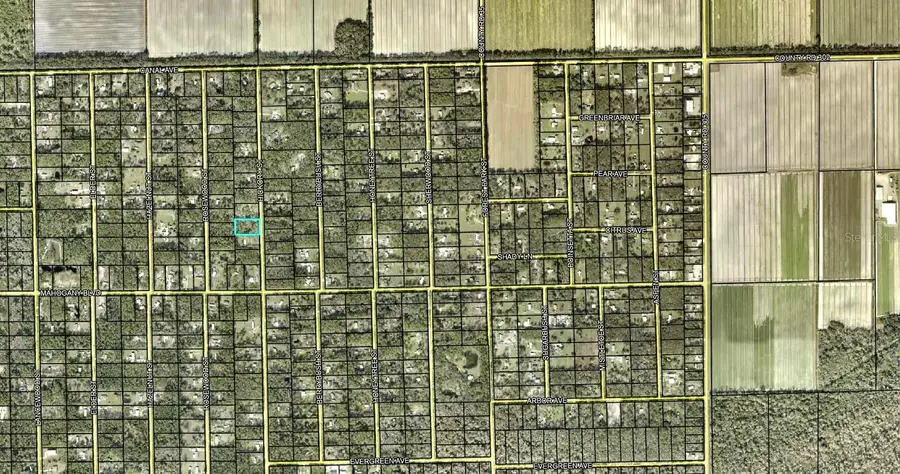 1396 Hickory Street, Bunnell, FL 32110 - #2