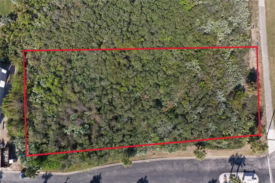2584 N Ocean Shore Boulevard, Flagler Beach, FL 32136 - #2