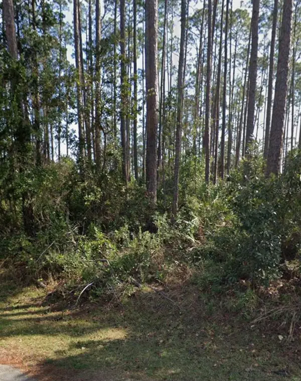 21 Erickson Place, PALM COAST, FL 32164