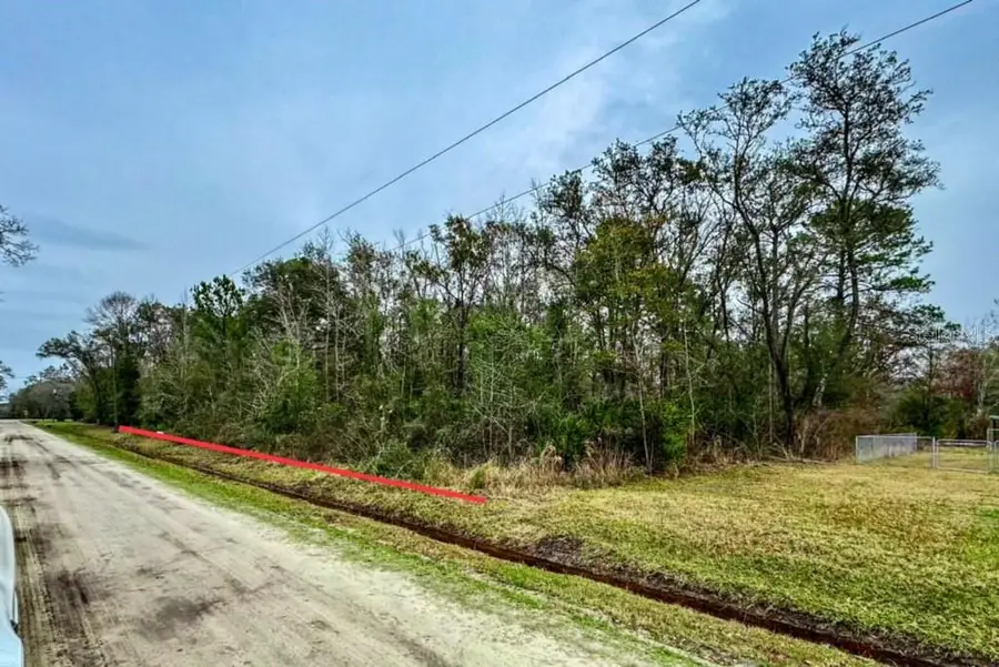 10230 Weatherby Avenue, Hastings, FL 32145 - #3
