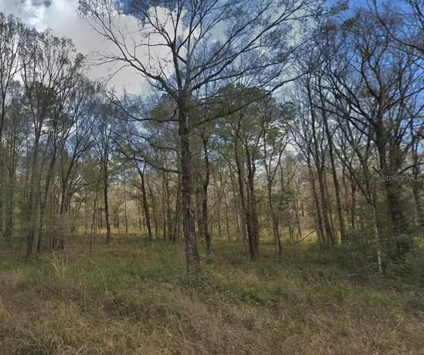 10300 Stycket Avenue, HASTINGS, FL 32145
