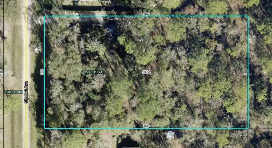10300 Stycket Avenue, Hastings, FL 32145 - #2