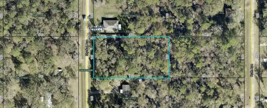10300 Stycket Avenue, Hastings, FL 32145 - #3