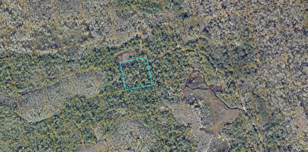 No Street, OAK HILL, FL 32759