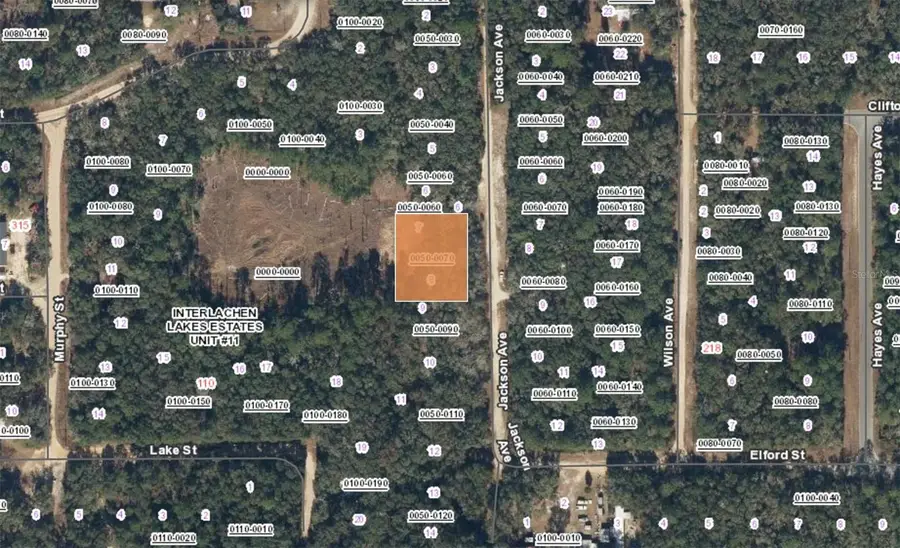 XX Jackson Ave Interlachen Fl, Interlachen, FL 32148 - #2