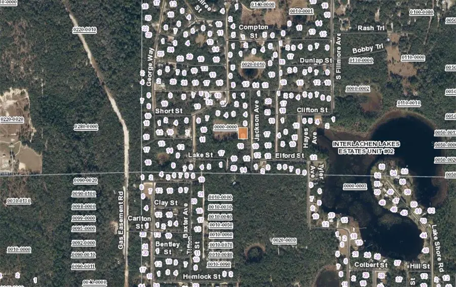 XX Jackson Ave Interlachen Fl, Interlachen, FL 32148 - #3
