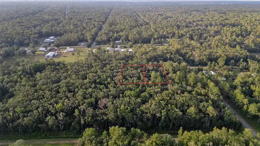 4725 Alvin Street, Hastings, FL 32145 - #3