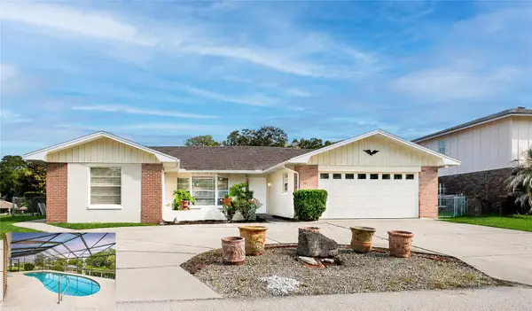 10 Felicia Court, PALM COAST, FL 32137