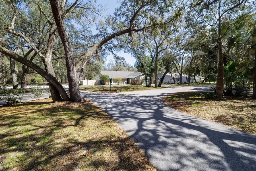 317 Oak Fern Circle, Ormond Beach, FL 32174 - #2