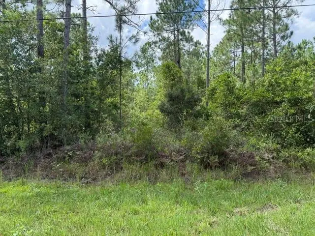 2724 Lancewood Street, Bunnell, FL 32110 - #2