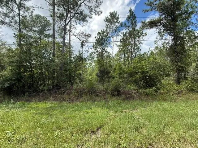 2724 Lancewood Street, Bunnell, FL 32110 - #3