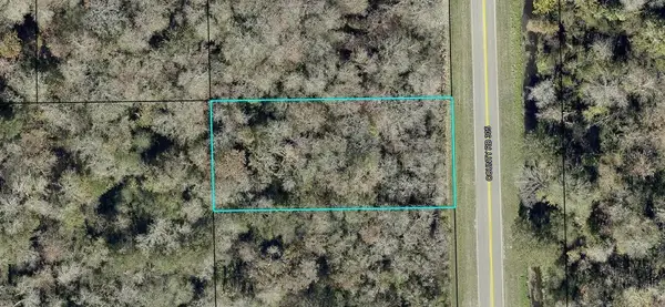 2204 Cr-305, BUNNELL, FL 32110