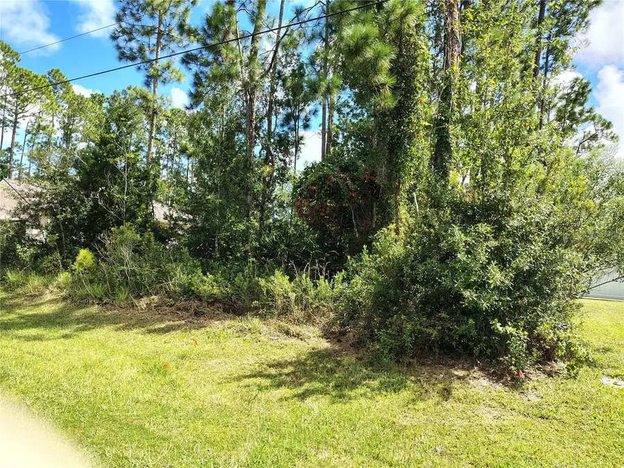 8 Ryding Lane, Palm Coast, FL 32164 - #3