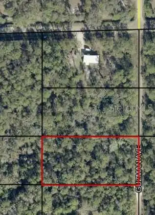 108?? Guzman Avenue, Hastings, FL 32145 - #2