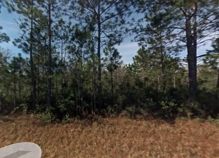 108?? Guzman Avenue, Hastings, FL 32145 - #3