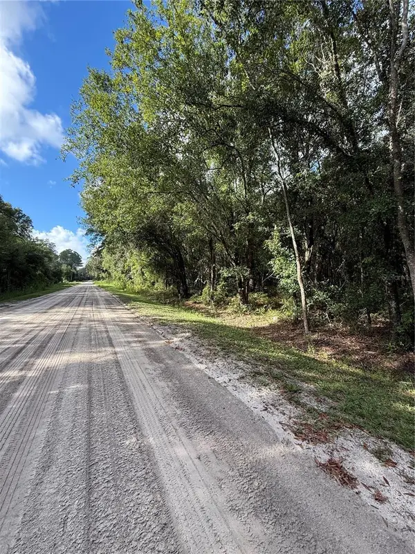 1166 Honeytree Street, BUNNELL, FL 32110
