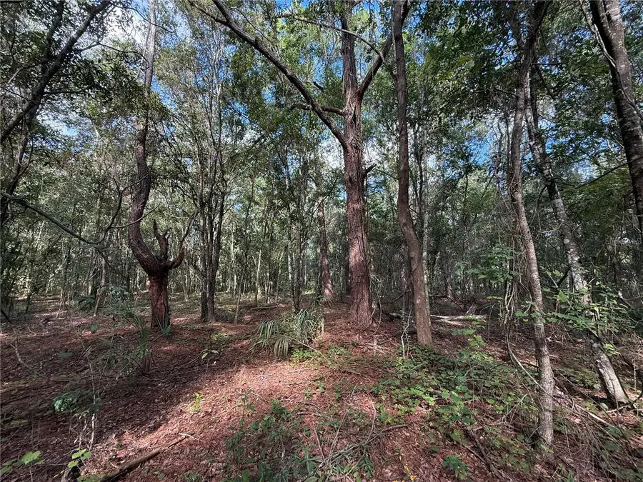 1166 Honeytree Street, Bunnell, FL 32110 - #2