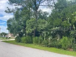 94 White Hall Drive, Palm Coast, FL 32164 - #1