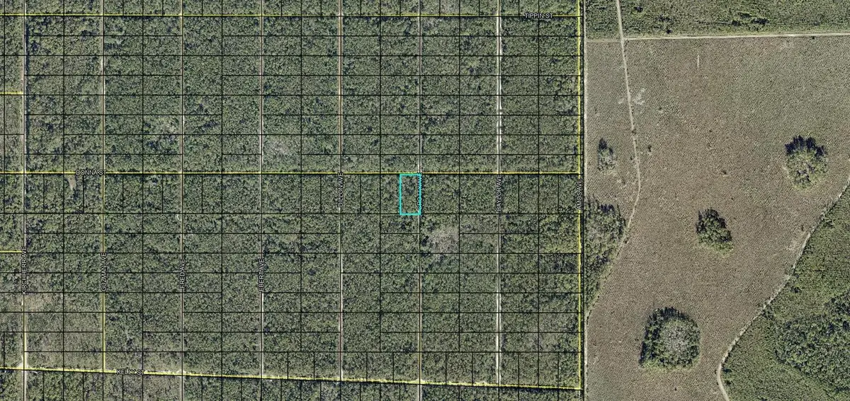 XXX Donna Street, Hastings, FL 32145 - #1