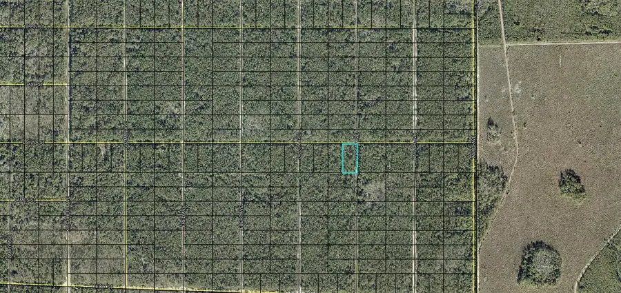 XXX Donna Street, Hastings, FL 32145 - #3