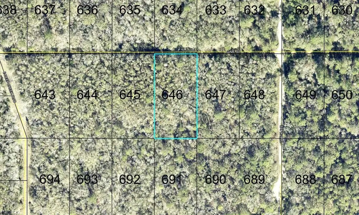 646 Gale Street, Hastings, FL 32145 - #1