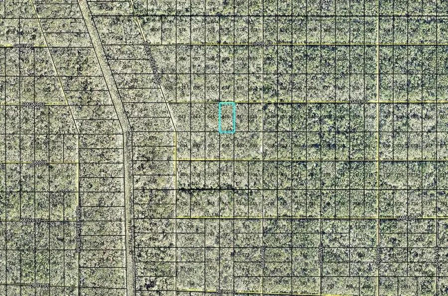 646 Gale Street, Hastings, FL 32145 - #2