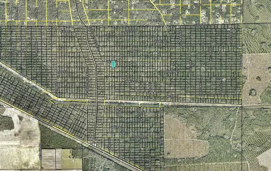 646 Gale Street, Hastings, FL 32145 - #3