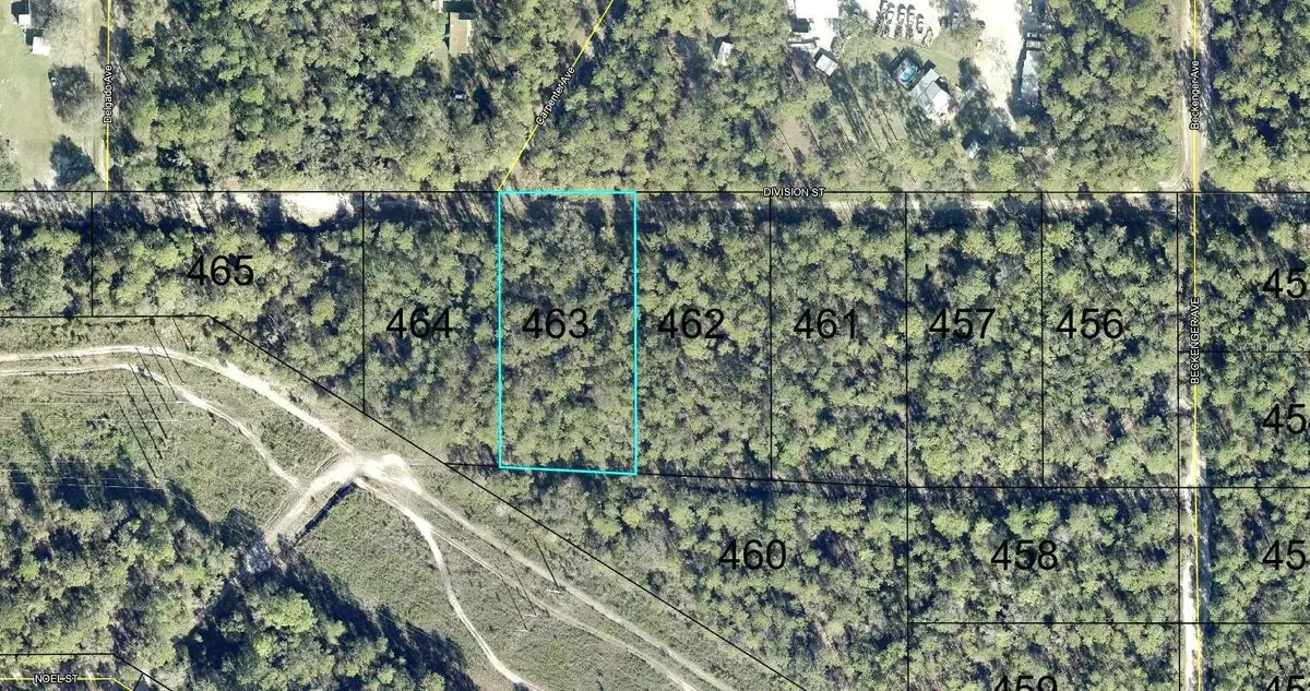 463 Division Street, Hastings, FL 32145 - #1