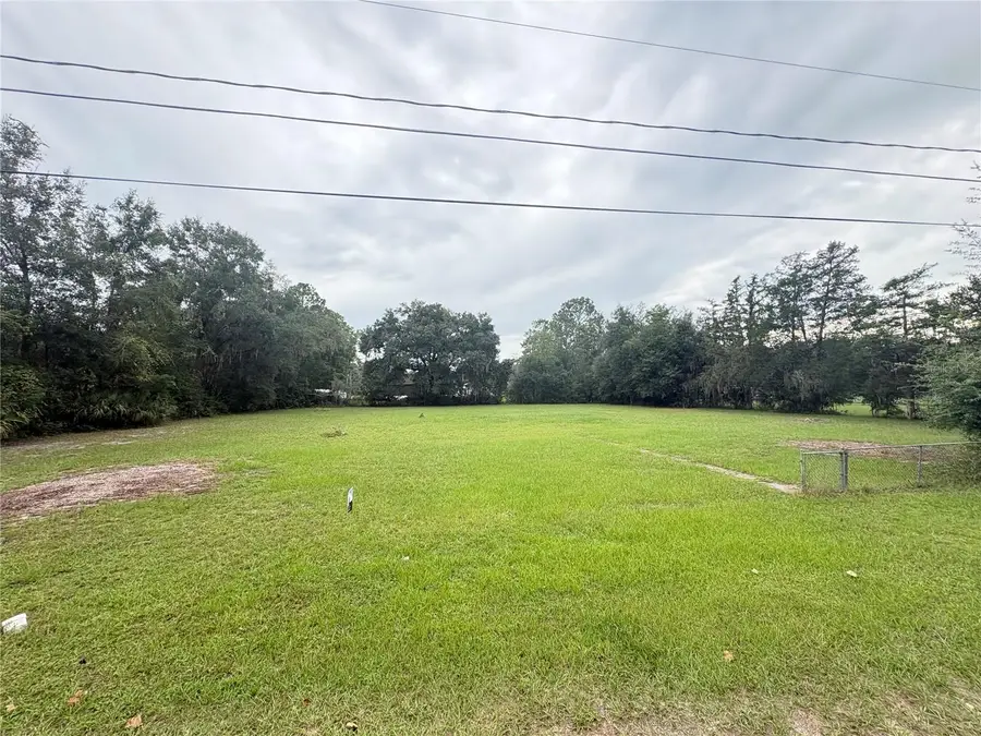 517 Orange Street, Welaka, FL 32193 - #2