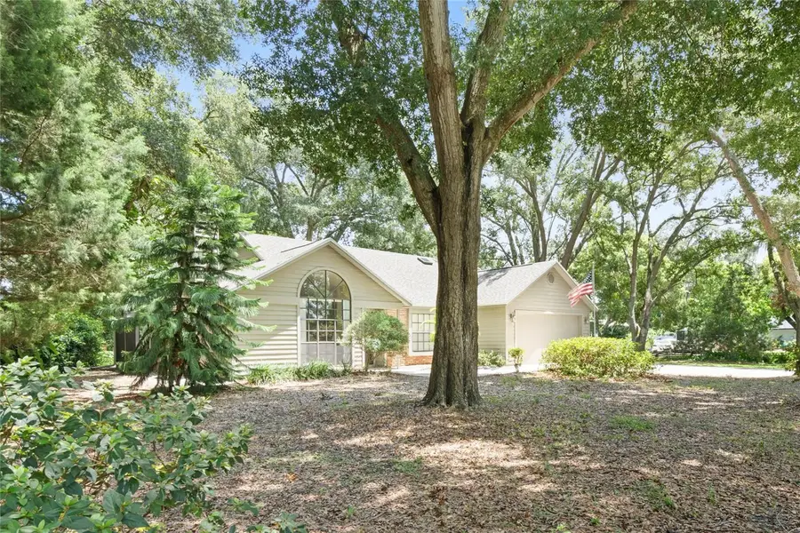 3909 Lake Forest Street, Mount Dora, FL 32757 - Image #2