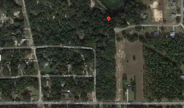 TBD Redbud Road, LADY LAKE, FL 32159