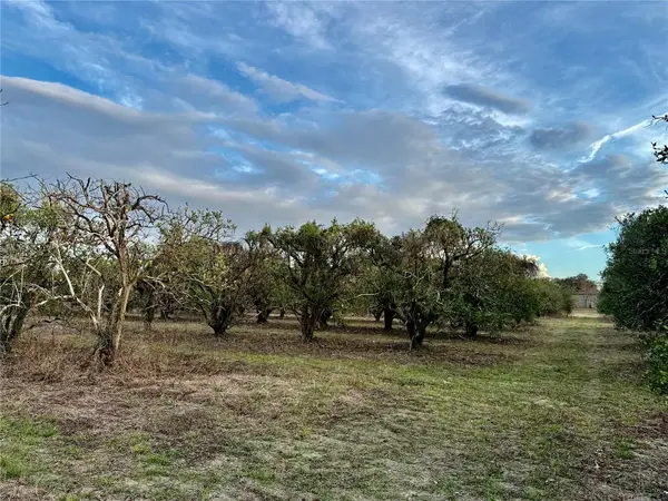 0 SE 165th Avenue, WEIRSDALE, FL 32195