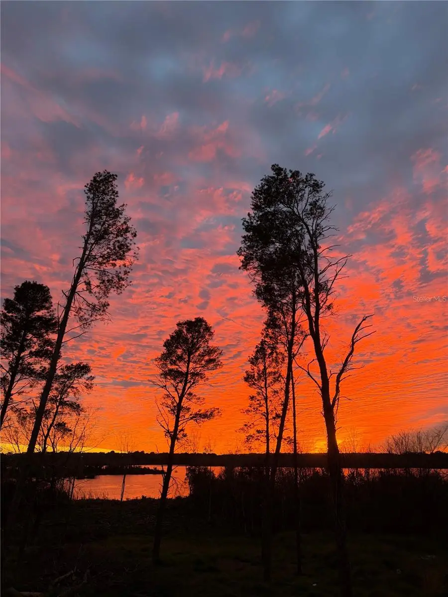 17044 Cavallo Drive, Montverde, FL 34756 - Image #2