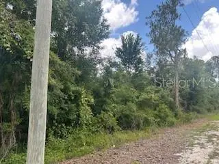 #3